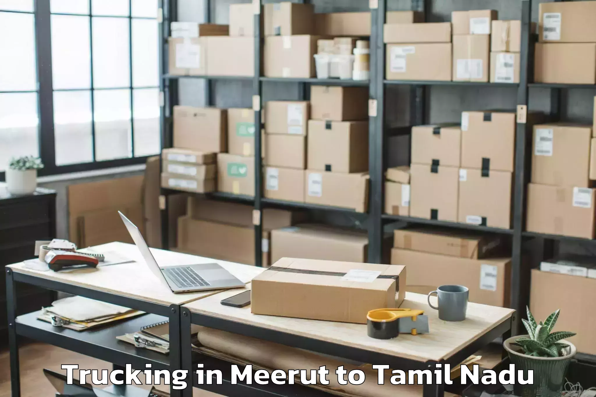 Book Meerut to Thondi Trucking